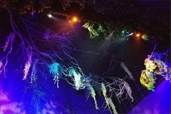 Gobos and LED lights on ceiling with hanging moss at Swamp Ape Thrill Ride at Swampy Jack's Wongo Adventure, Panama City Beach, Florida, USA