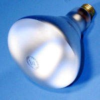 BR40 120w 120v SP E26 Lamp