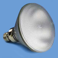 250PAR38/HAL/FL30  Par38 250w 120v Cap Flood 38 E26 Lamp