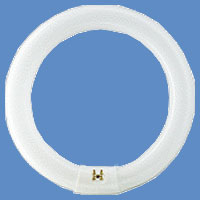 Fluorescent Circline 22w 8