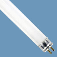 20816 F8/T5 8w Fluorescent 12