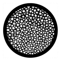 ROSCO:260-81126 -- 81126 Mitosis Bw Glass Gobo, Size: Specify