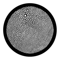 ROSCO:260-81127 -- 81127 Snakeskin Bw Glass Gobo, Size: Specify