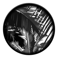 ROSCO:260-82782 -- 82782 Jungle Gloom Bw Glass Gobo, Size: Specify