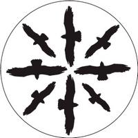 ROSCO:260-82816 -- 82816 Circling Birds Silhouette 1 Bw Glass Gobo By Don Darnutzer, Size: Specify