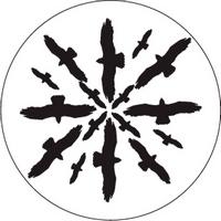 ROSCO:260-82817 -- 82817 Circling Birds Silhouette 2 Bw Glass Gobo By Don Darnutzer, Size: Specify