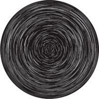 ROSCO:260-82835 -- 82835 Star Trail Animation Wheel Bw Glass Gobo, Size: Specify