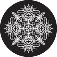 ROSCO:260-82879 -- 82879 Paisley 8 Bw Glass Gobo, Size: Specify