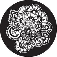 ROSCO:260-82886 -- 82886 Paisley 14 Bw Glass Gobo, Size: Specify