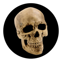 ROSCO:260-86687 -- 86687 Yorick Skull Multi Color Glass Gobo By Kc Hooper, Size: Specify