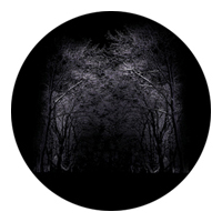 ROSCO:260-86698 -- 86698 Winter Arbor Multi Color Glass Gobo By Lisa Cuscuna, Size: Specify