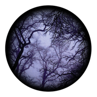 ROSCO:260-86712 -- 86712 Cloud Branches Multi Color Glass Gobo By Lisa Cuscuna, Size: Specify