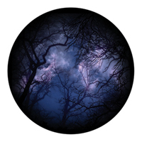 ROSCO:260-86713 -- 86713 Cloud Branches 2 Multi Color Glass Gobo By Lisa Cuscuna, Size: Specify