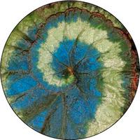 ROSCO:260-86777 -- 86777 Spiral Leaf Multi Color Glass Gobo, Size: Specify