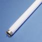 23121 Fluorescent 30w T8 36