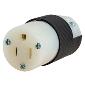 HBL5269C Edison 15a 125v Female Connector Black/White