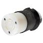 HBL2613 Twistlock 30a 125v  2pole/3wire Female Connector Black/White