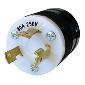 306P Twistlock 2621 2P/3W 30a 250v Male Black/White