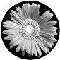 Apollo Gobo Glass B&W Standard Super Resolution
