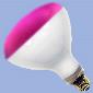 46876 R40 120w 120v Flood Pink E26 Lamp