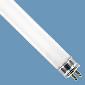 F4/T5 Fluorescent 6