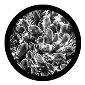 ROSCO:260-82201 -- 82201 Whirlpool Bw Glass Gobo By Rob Cormier, Size: Specify