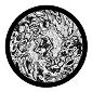 ROSCO:260-82716 -- 82716 Slick Bw Glass Gobo, Size: Specify