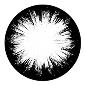 ROSCO:260-82723 -- 82723 Splinter Bw Glass Gobo, Size: Specify