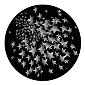 ROSCO:260-82724 -- 82724 Star Fusion Bw Glass Gobo, Size: Specify