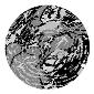 ROSCO:260-82752 -- 82752 Urban Camouflage Bw Glass Gobo, Size: Specify