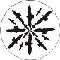 ROSCO:260-82817 -- 82817 Circling Birds Silhouette 2 Bw Glass Gobo By Don Darnutzer, Size: Specify