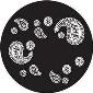 ROSCO:260-82874 -- 82874 Paisley 3 Bw Glass Gobo, Size: Specify