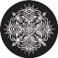 ROSCO:260-82879 -- 82879 Paisley 8 Bw Glass Gobo, Size: Specify