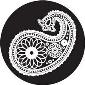 ROSCO:260-82885 -- 82885 Paisley 13 Bw Glass Gobo, Size: Specify