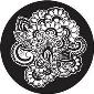 ROSCO:260-82886 -- 82886 Paisley 14 Bw Glass Gobo, Size: Specify