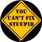 ROSCO:260-83100 -- 83100 You Can'T Fix Stupid 2 Color  Glass Gobo, Size: Specify