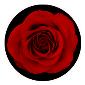 ROSCO:260-84430 -- 84430 Red Rose 2 Color  Glass Gobo, Size: Specify