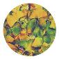 ROSCO:260-86635 -- 86635 Ginko Multi Color Glass Gobo By Abigail Rosen Holmes, Size: Specify