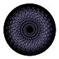 ROSCO:260-86652 -- 86652 Peacock Sprocket Multi Color Glass Gobo By Ken Michaels, Size: Specify