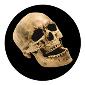 ROSCO:260-86686 -- 86686 Laughing Skull Multi Color Glass Gobo By Kc Hooper, Size: Specify