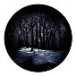 ROSCO:260-86700 -- 86700 Grimm'S Woods Multi Color Glass Gobo By Lisa Cuscuna, Size: Specify