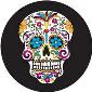 ROSCO:260-86717 -- 86717 Day Of The Dead Sugar Skull Multi Color Glass Gobo, Size: Specify