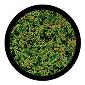 ROSCO:260-86735 -- 86735 Microscopic Multi Color Glass Gobo By Kc Hooper, Size: Specify